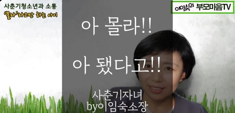 아 몰라 짜증만 내는 아이 사춘기 자녀 고민 by 이임숙